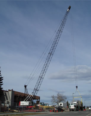 14 ton stinger crane